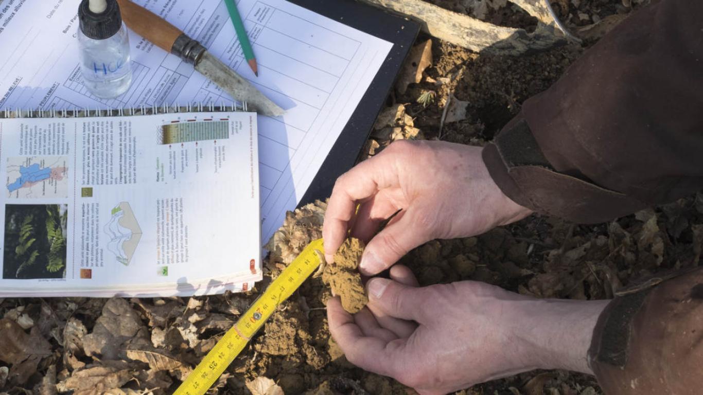 Analyse du sol en forêt