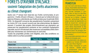 Soutenir l'adaptation des forêts alsaciennes au climat changeant