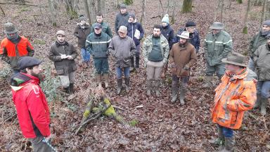 Conciliation forêt chasse