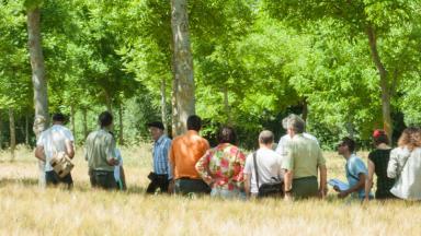 Agroforesterie