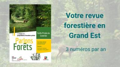 Parlons Forêts - Forêts Privées du Grand Est n°23