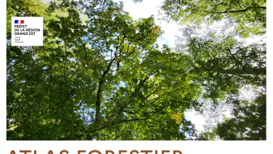 Atlas forestier Grand Est