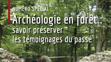 Archéologie en forêt