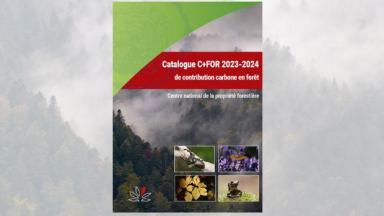 Catalogue Carbone