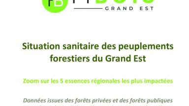 Crises sanitaires 2025