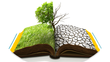 Changement climatique