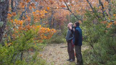 Conseil forestier