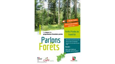 PFGE 26