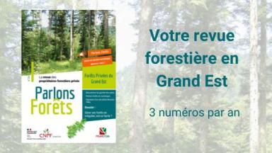 Parlons Forêts - Forêts Privées du Grand Est n°26