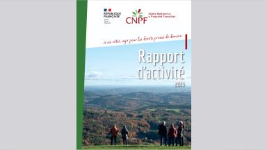 Rapport d'activités 2025
