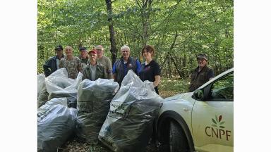 Collecte déchets