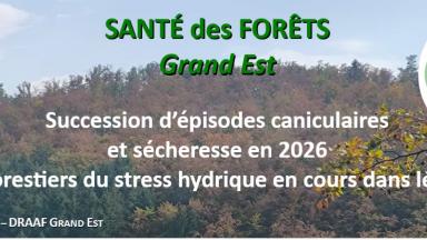 DSF Sécheresse