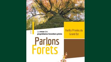 PFGE 27