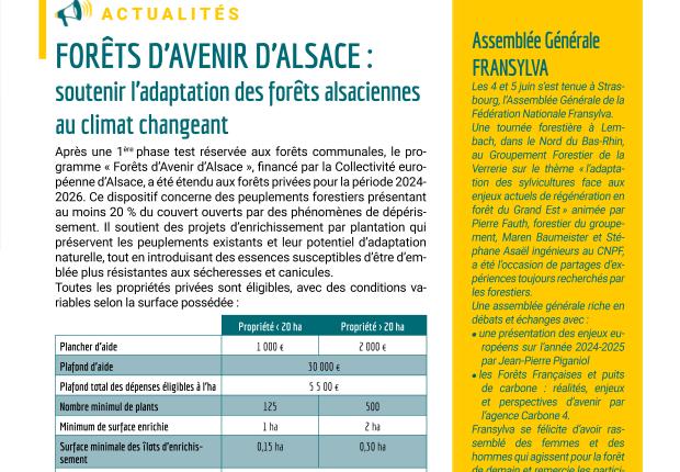 Soutenir l'adaptation des forêts alsaciennes au climat changeant