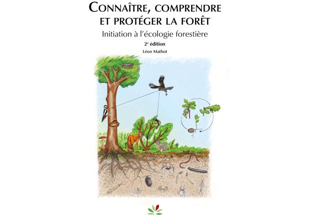 Connaître, comprendre et protéger la forêt