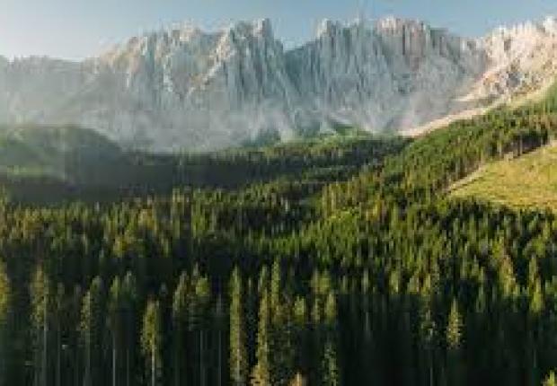 Forêts migrent ouest