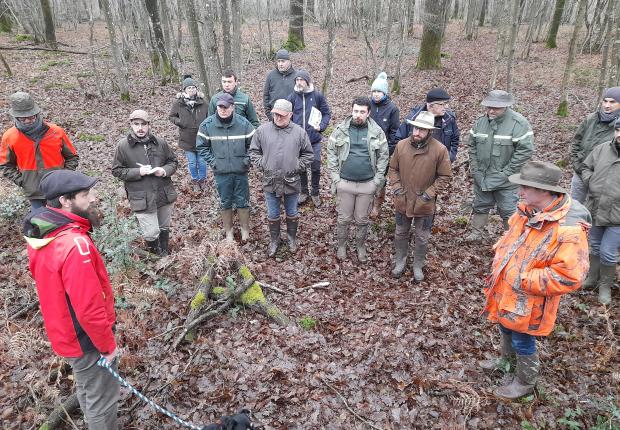 Conciliation forêt chasse