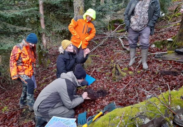 Tournée forestière technique