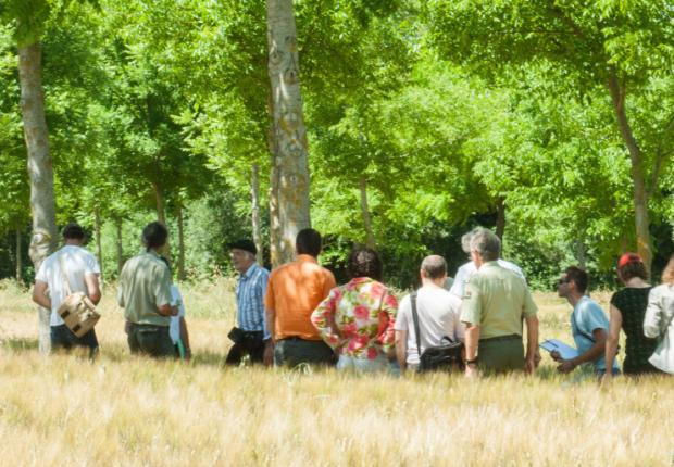 Agroforesterie
