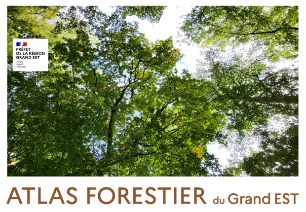 Atlas forestier Grand Est