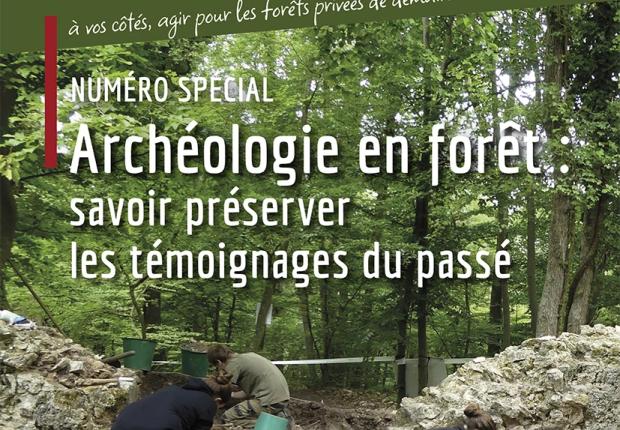 Archéologie en forêt