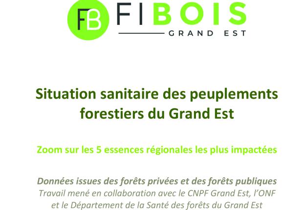 Crises sanitaires 2025