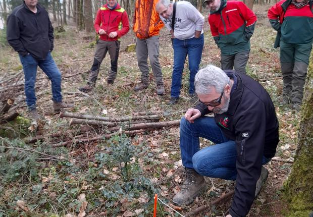 Intercalibration Hautes Vosges