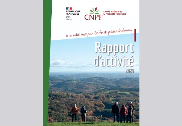 Rapport d'activités 2025