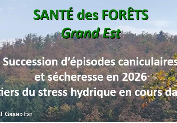 DSF Sécheresse