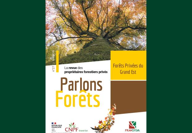 PFGE 27