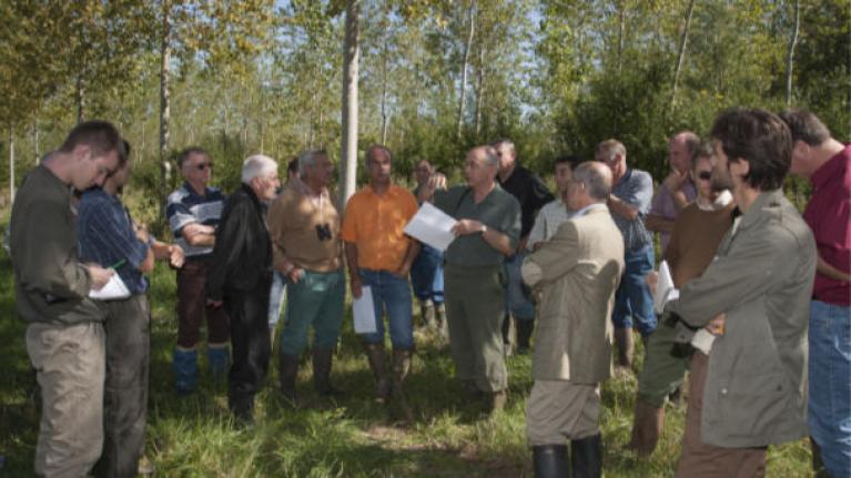 Journée de formation sur la populiculture