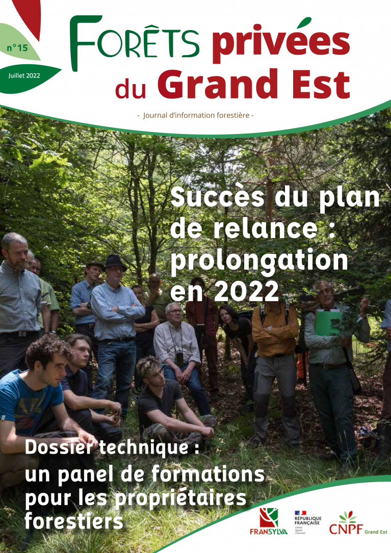 FPGE n° 15