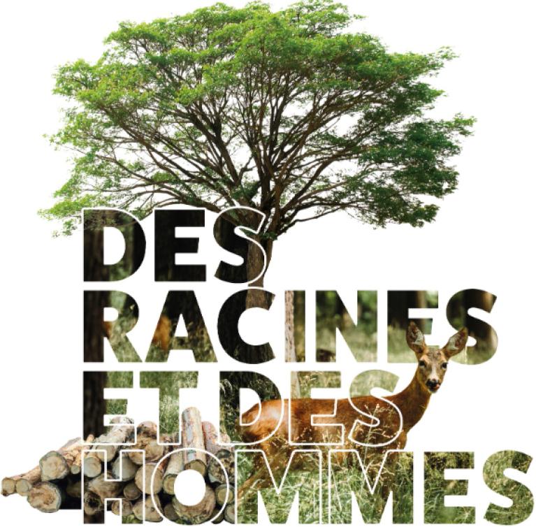 Des racines et des hommes