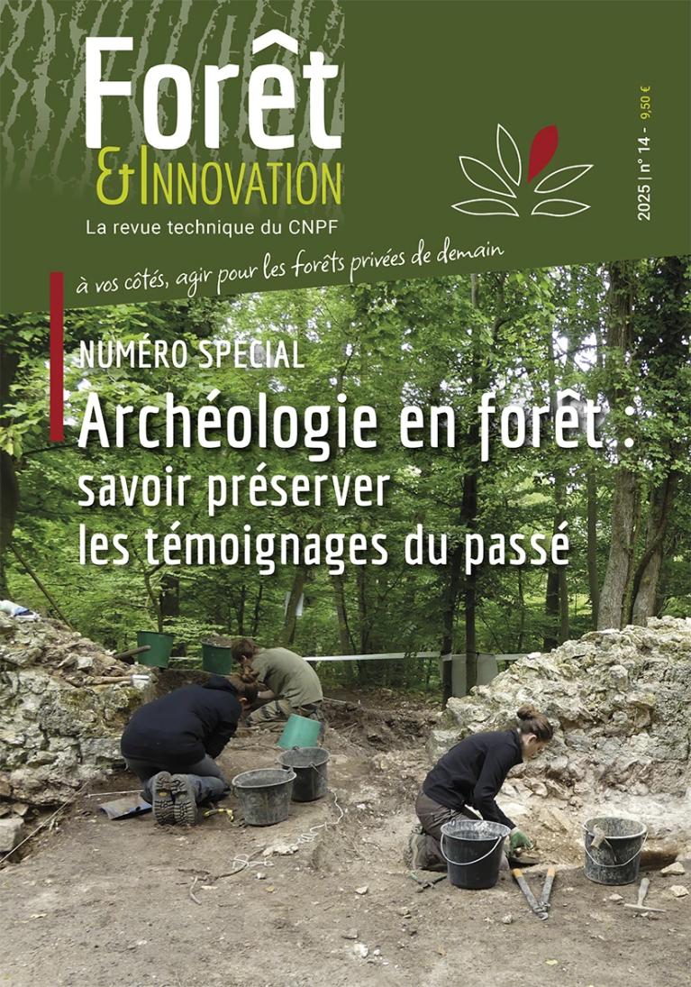 Archéologie en forêt