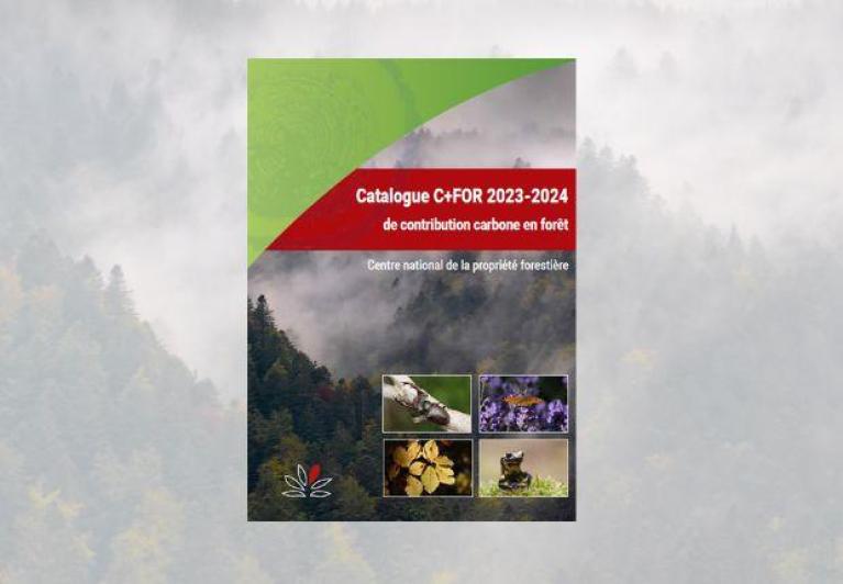 Catalogue Carbone