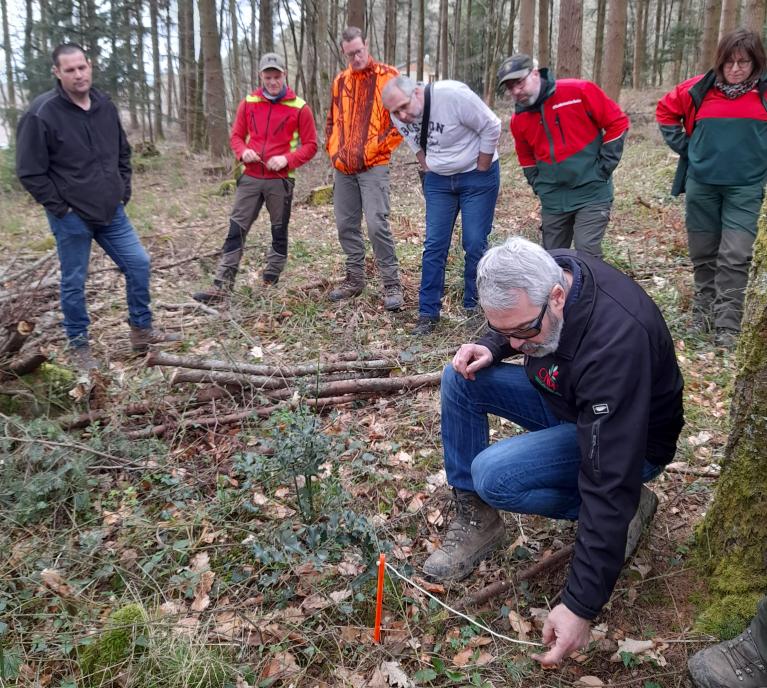 Intercalibration Hautes Vosges